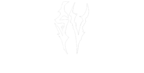 STREETVOID